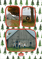 Crafty Trees