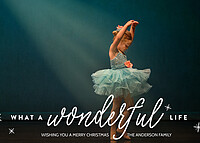 Wonderful Life
